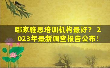 哪家雅思培训机构最好？ 2023年最新调查报告公布！